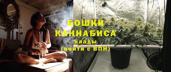 соль ск Бронницы