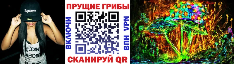 Псилоцибиновые грибы Psilocybe  мега вход  Дальнереченск 