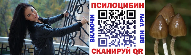 Галлюциногенные грибы мицелий Дальнереченск